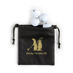 Sandy Ferrets Faux Leather Pouch