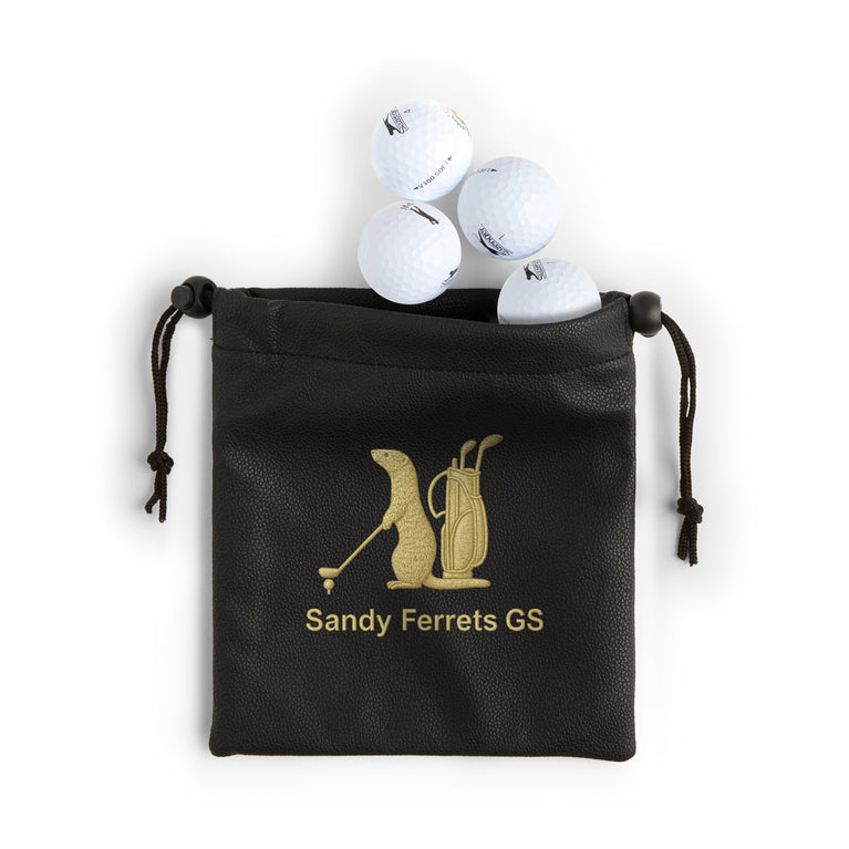 Sandy Ferrets Faux Leather Pouch