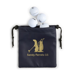 Sandy Ferrets Faux Leather Pouch - Pack of 10