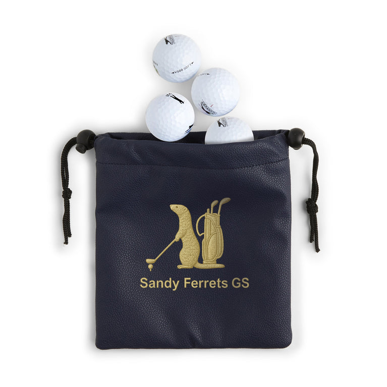 Sandy Ferrets Faux Leather Pouch