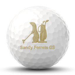 Sandy Ferrets Titleist Pro V1x 3 Golf Ball Pack