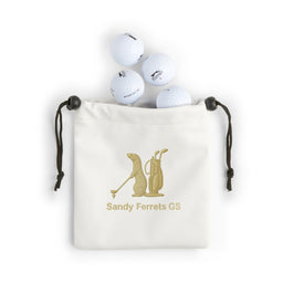 Sandy Ferrets Faux Leather Pouch