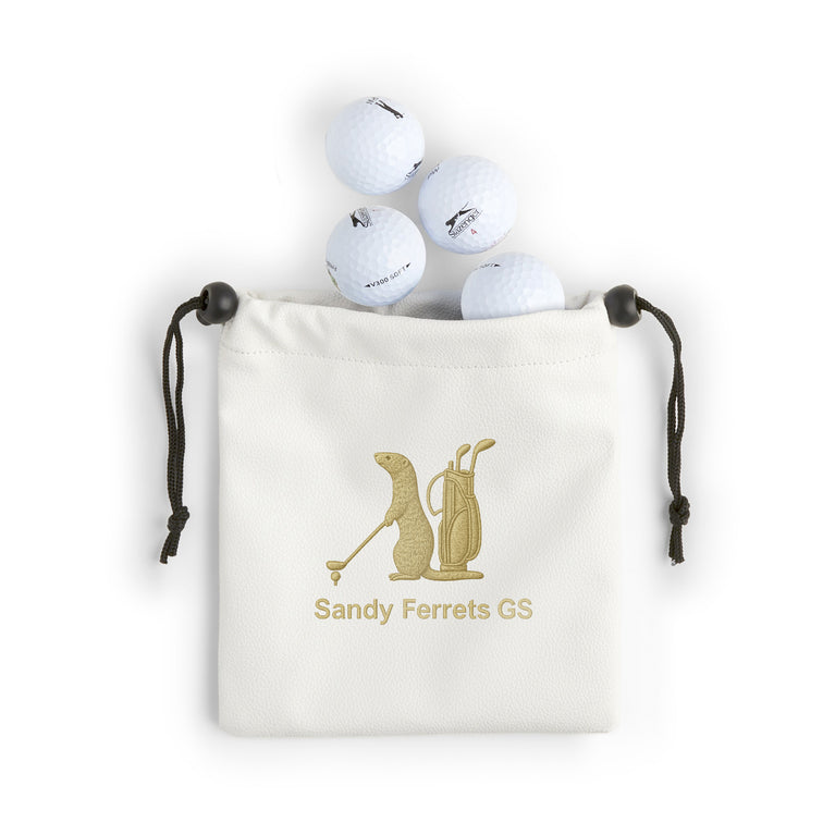 Sandy Ferrets Faux Leather Pouch